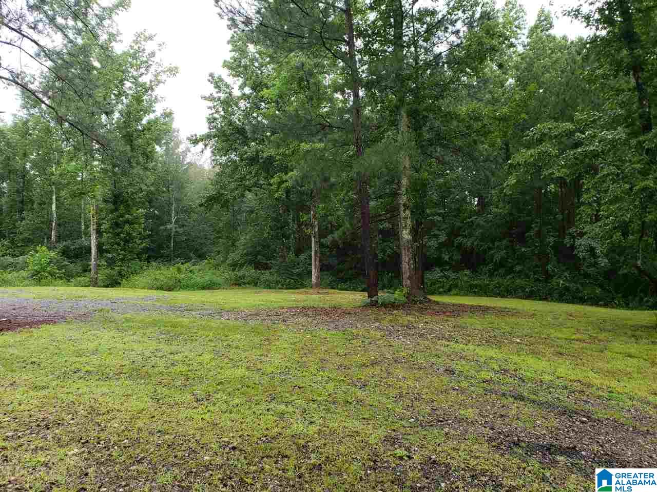 258 Pine Mountain Road Remlap, AL 35133 - Photo 40 of 46