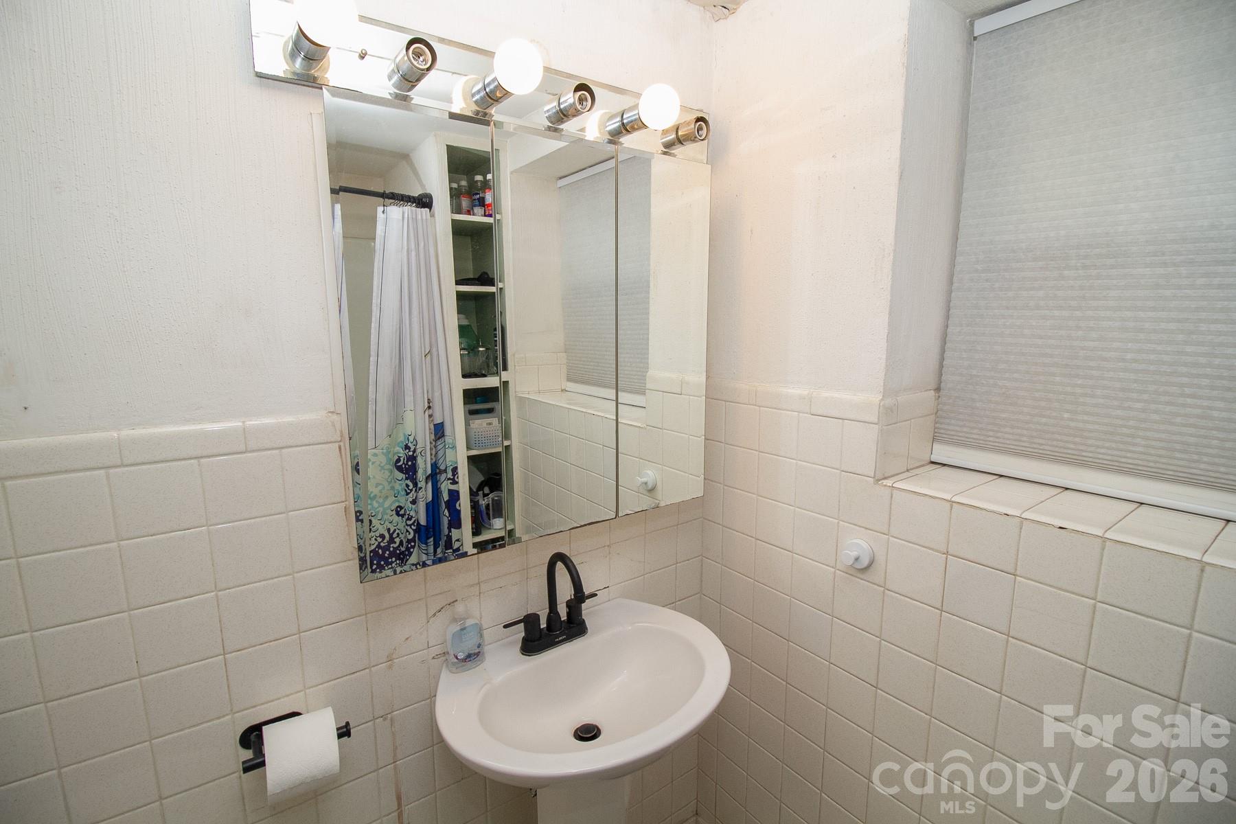 36 Clarendon Road Asheville, NC 28806 - Photo 37 of 48