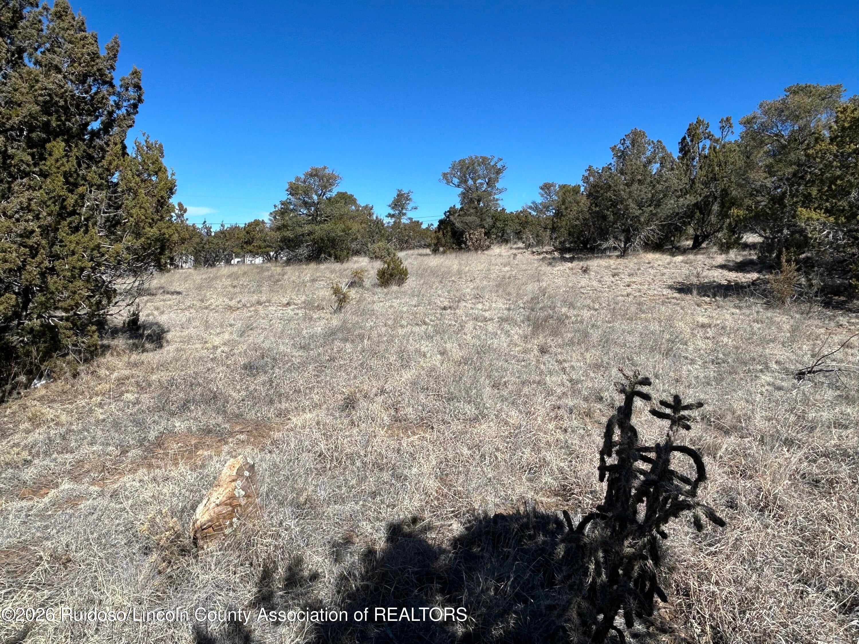 109 Crest View Road Capitan, NM 88316 - Photo 6 of 12 Gallery Image 6