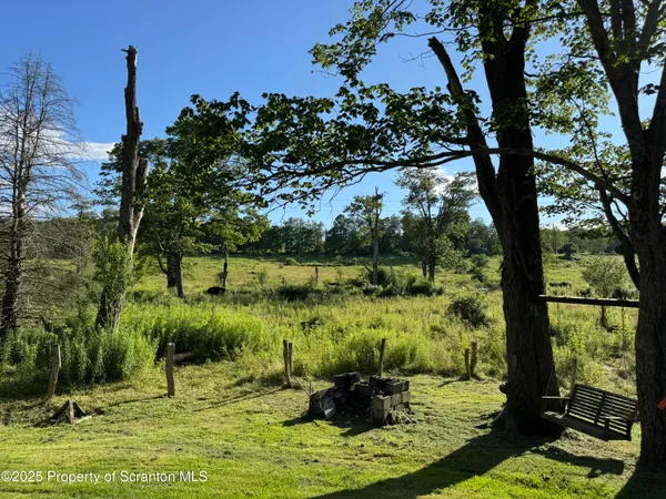 a view of a back yard of the house