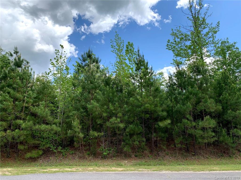 1.63-acres Ballindam Road, Unit 18 Chester, SC 29706 - Photo 1 of 2 Gallery Image 1