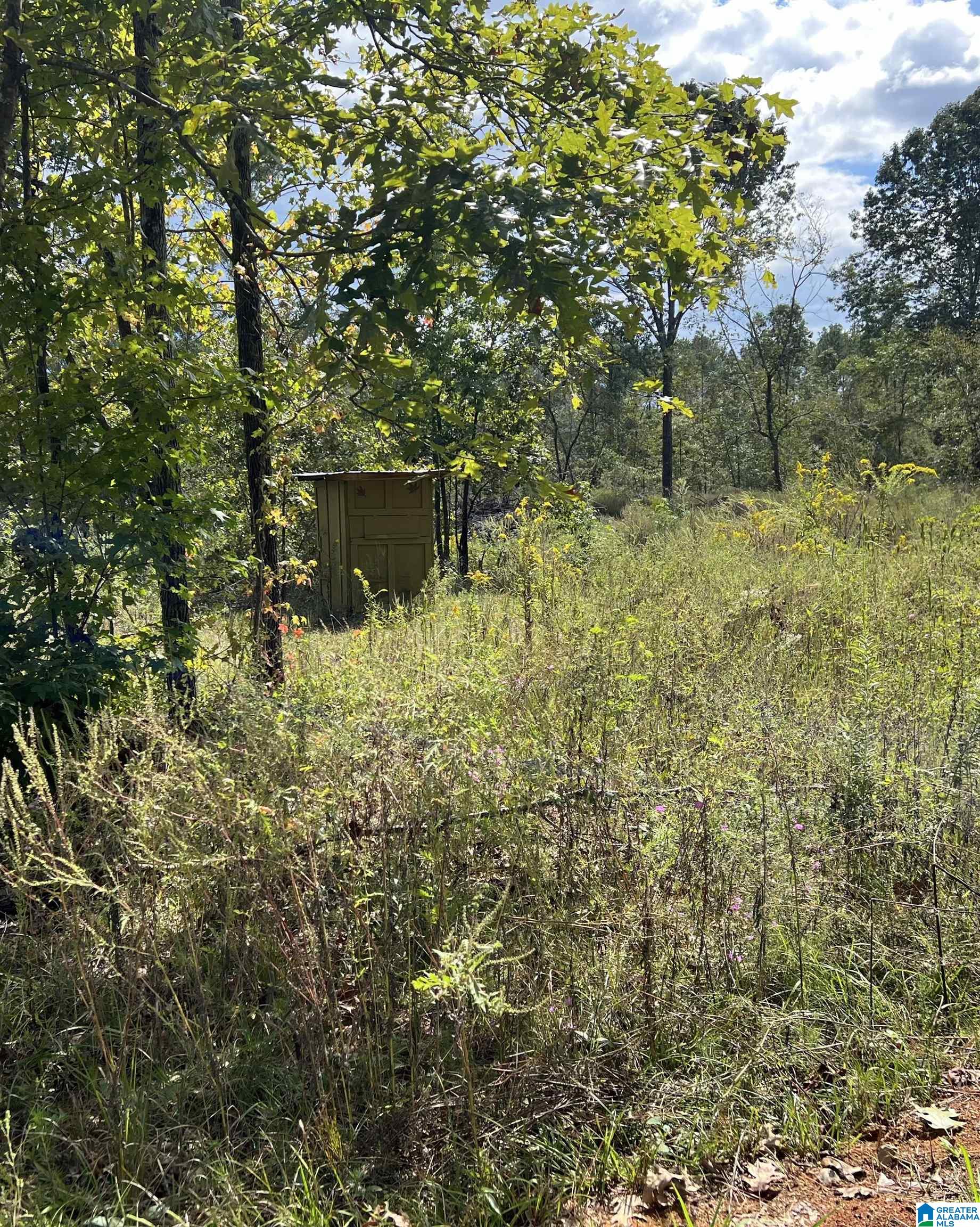 0 Sweatt Road Steele, AL 35987 - Photo 10 of 11