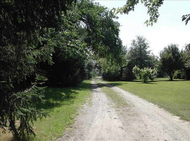 3940 Geiman Road Monroe, MI 48162 - Photo 14 of 20 Driveway