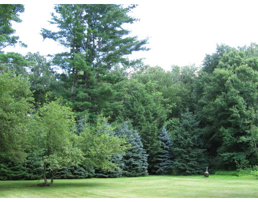 472 Forest Hills Road Springfield, MA 01128 - Photo 4 of 7 a view of a field with trees in the background