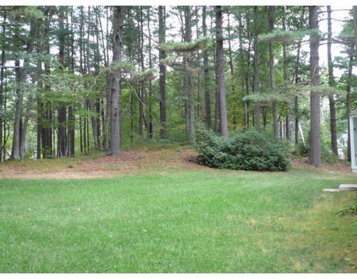 347 Dutton Road Sudbury, MA 01776 - Photo 15 of 16 a backyard of a house with lots of green space