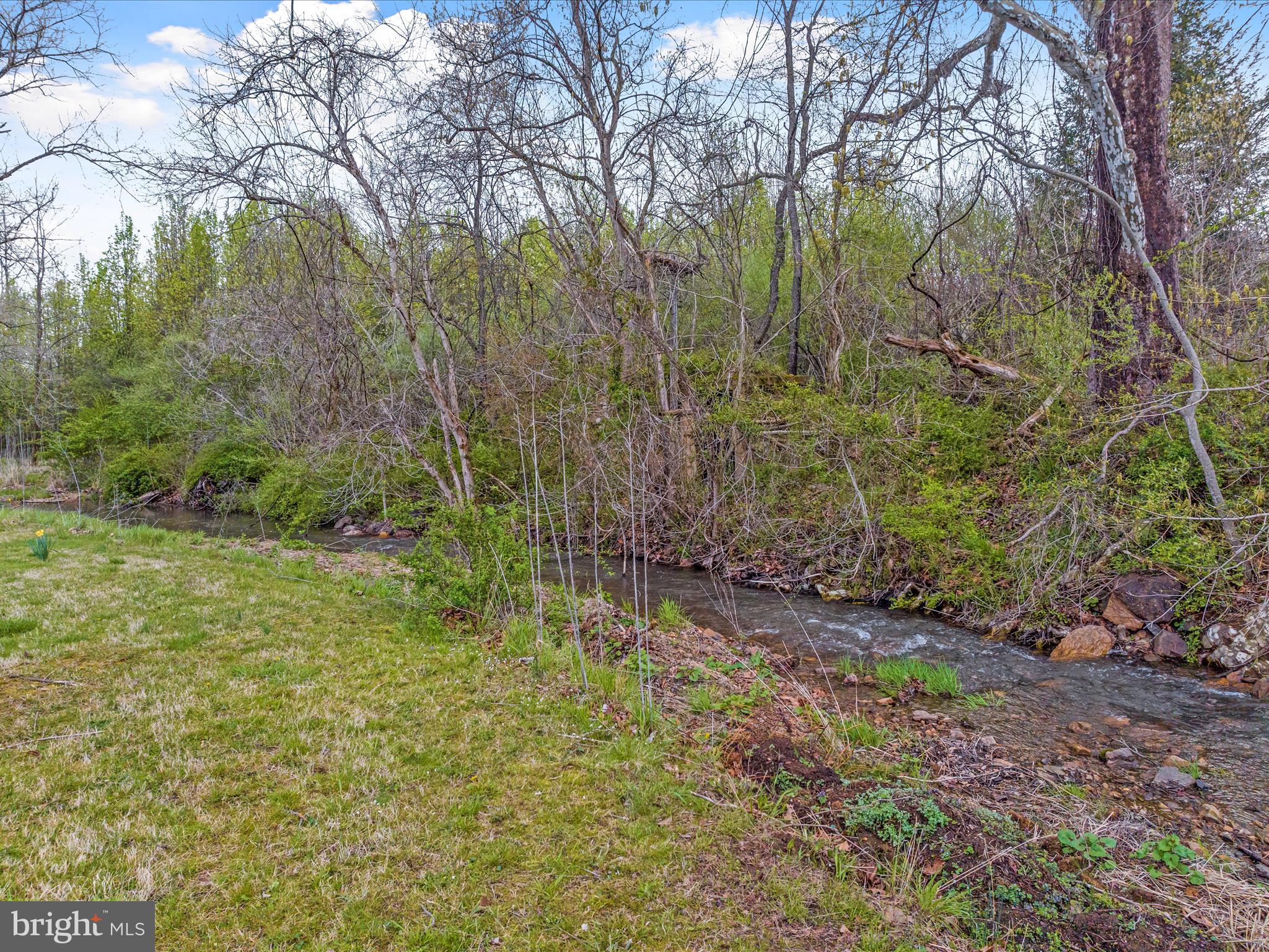 1446 Canterbury Road Front Royal, VA 22630 - Photo 54 of 58 Backs up to Creek