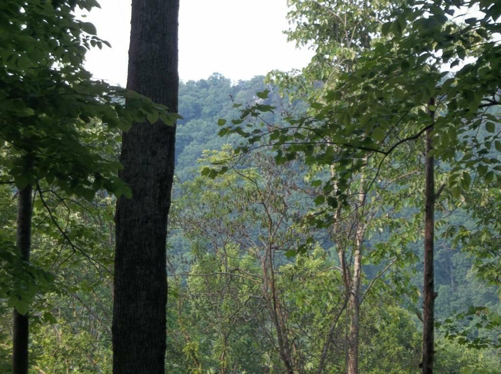 10 Timber Ridge Road Pikeville, TN 37367 - Photo 15 of 22 15