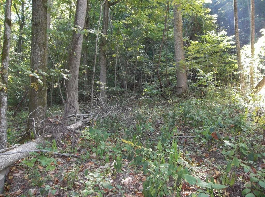 10 Timber Ridge Road Pikeville, TN 37367 - Photo 8 of 22 8