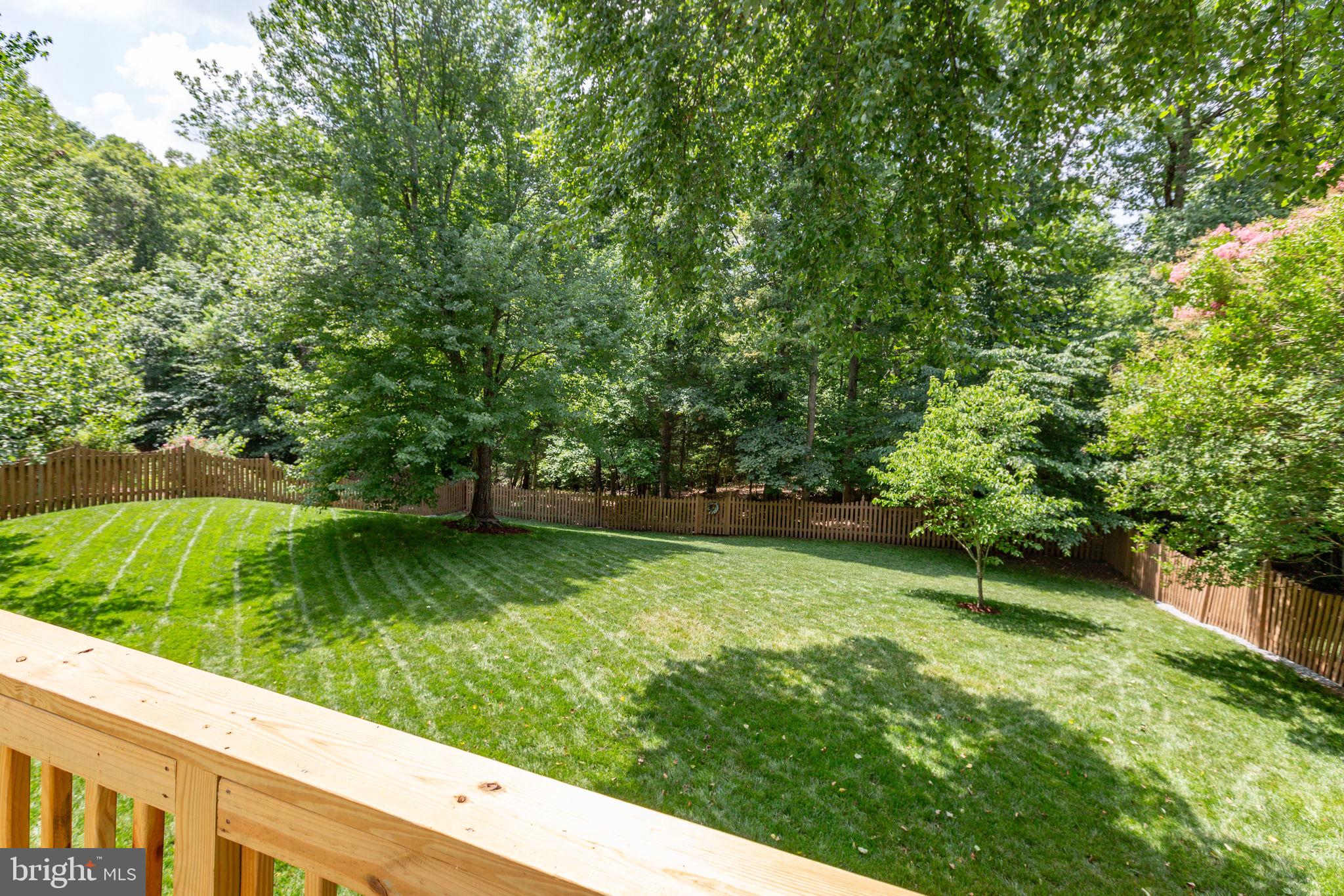 24 Tavern Road Stafford, VA 22554 - Photo 15 of 31 Lovely view from the rear deck