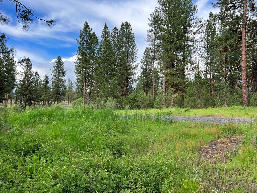 Lot 7 Timber Ridge Drive, Unit 7 New Meadows, ID 83654 - Photo 11 of 29 Gallery Image 11