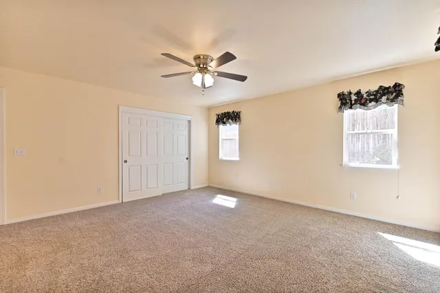a backyard of a house with plants and trees