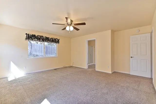 a view of a pathway with a tree