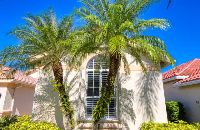 a plant that is in front of a house