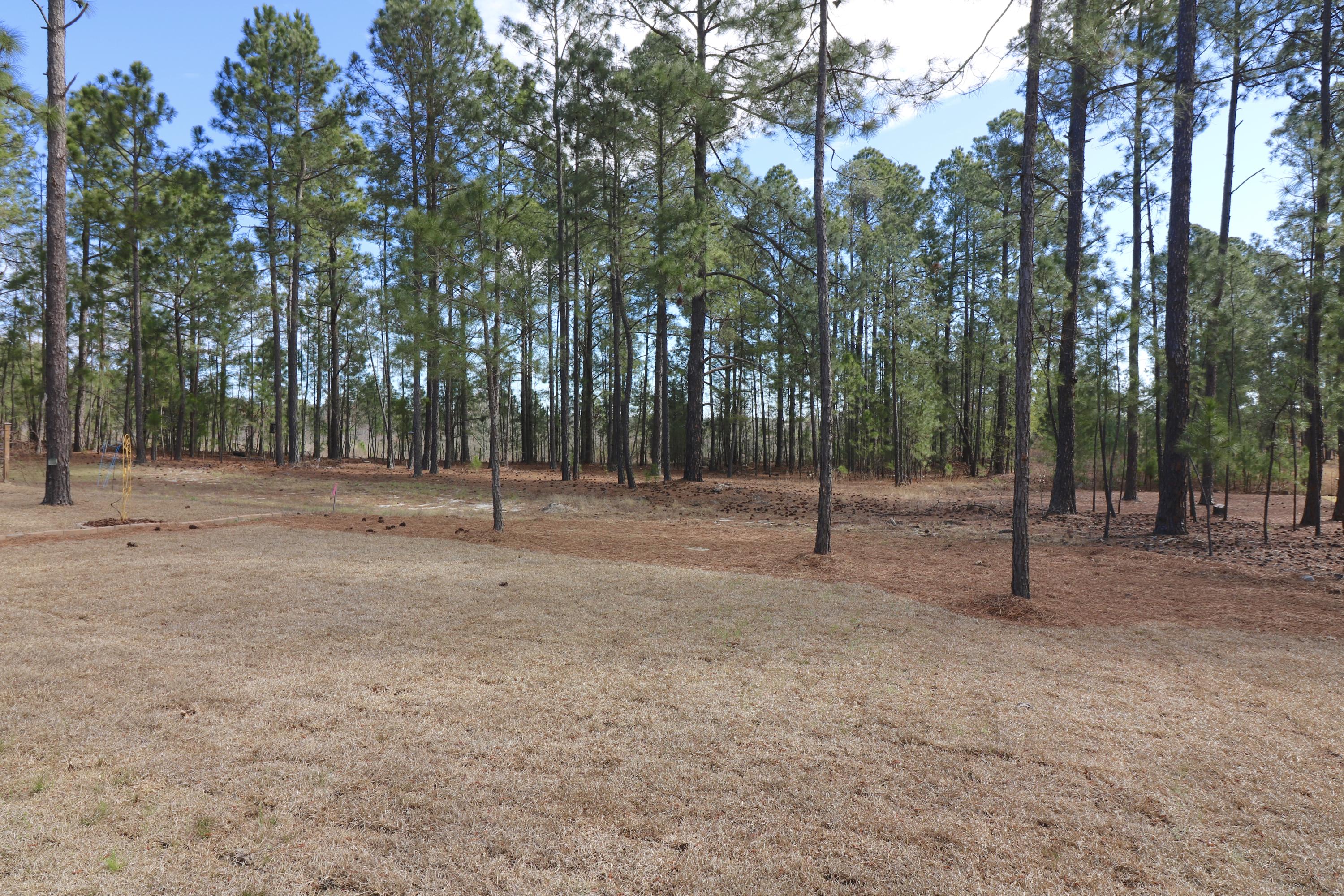 130 Leesville Loop Aberdeen, NC 28315 - Photo 25 of 26 IMG_6357