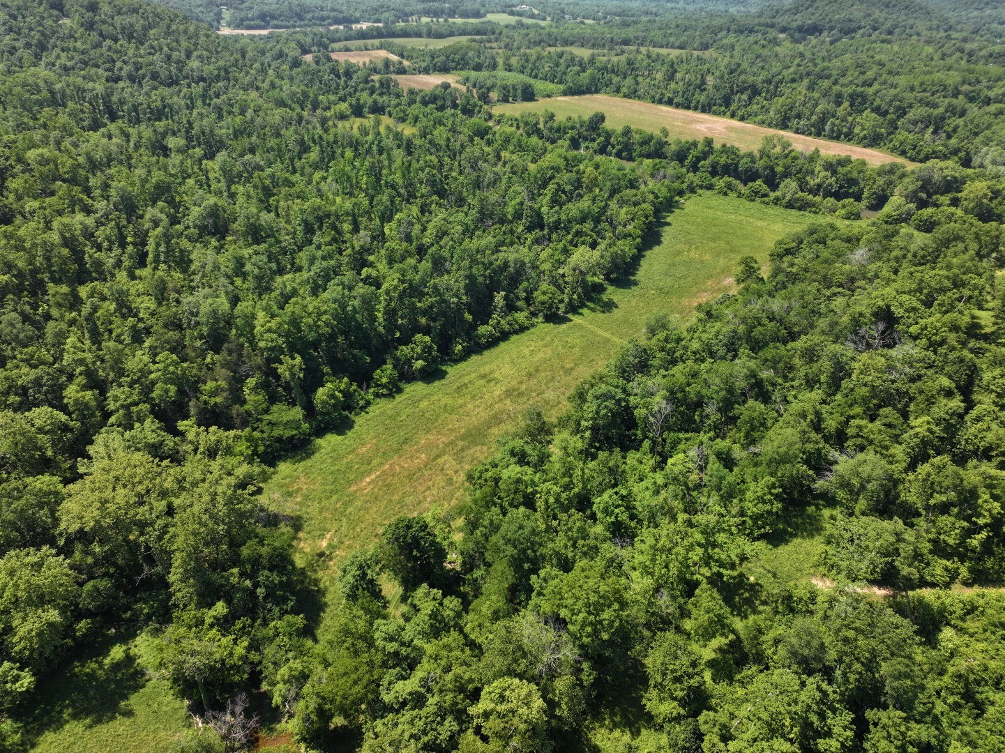 110 Wade Reed Road White Bluff, TN 37187 - Photo 17 of 80