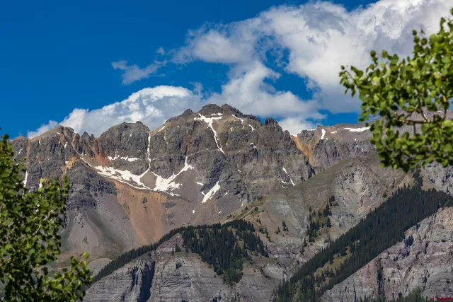 a view of a tree in a yard