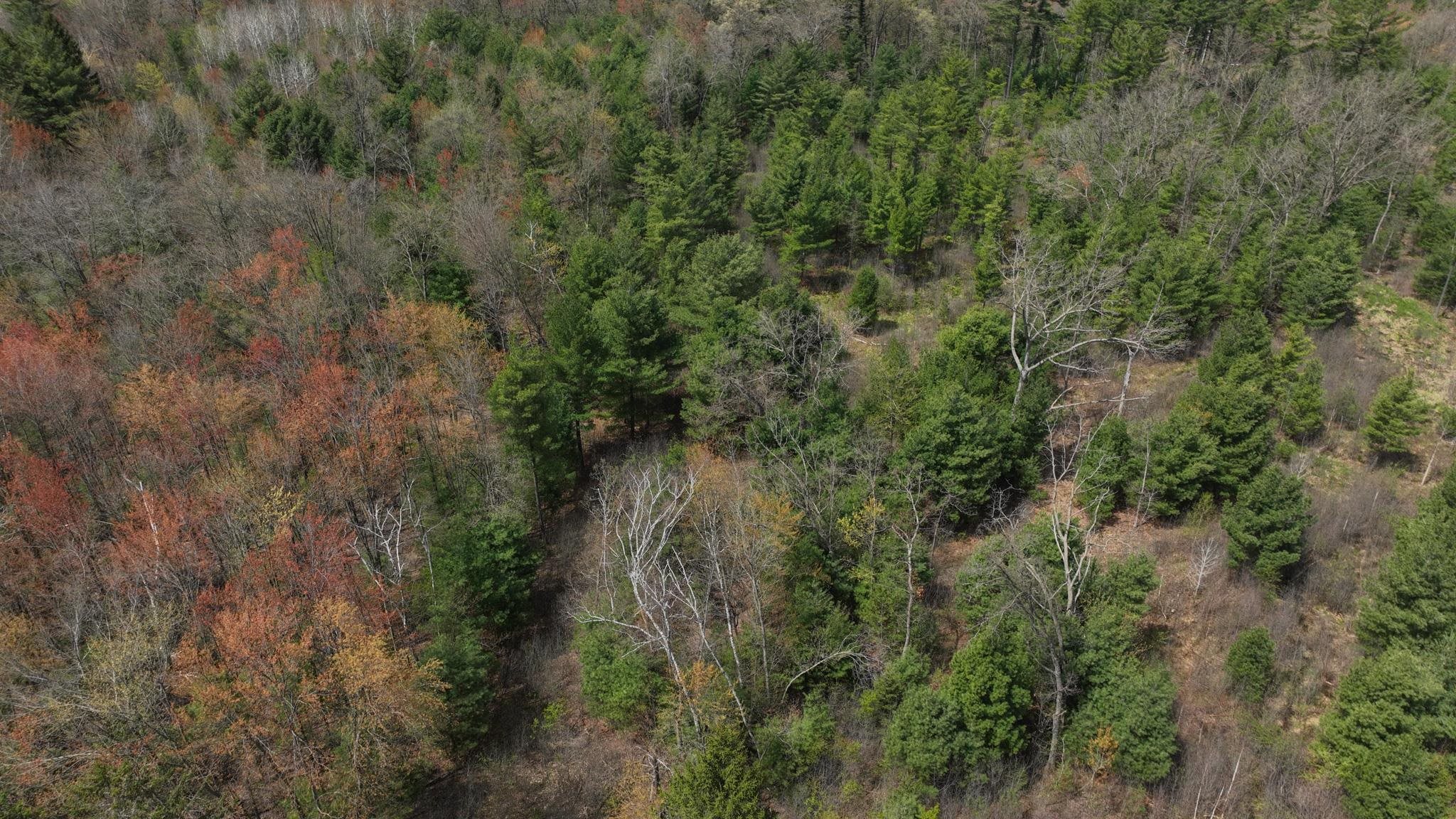 Lot 4 Grayling Tomah, WI 54660 - Photo 15 of 50