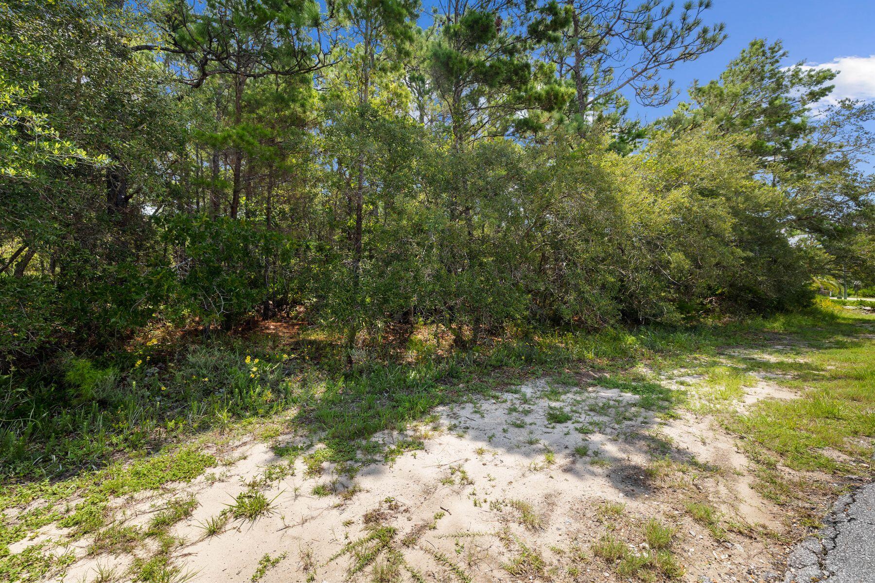 Lot 4 Seacrest Dr Inlet Beach Inlet Beach, FL 32461 - Photo 9 of 13 photo_online_009