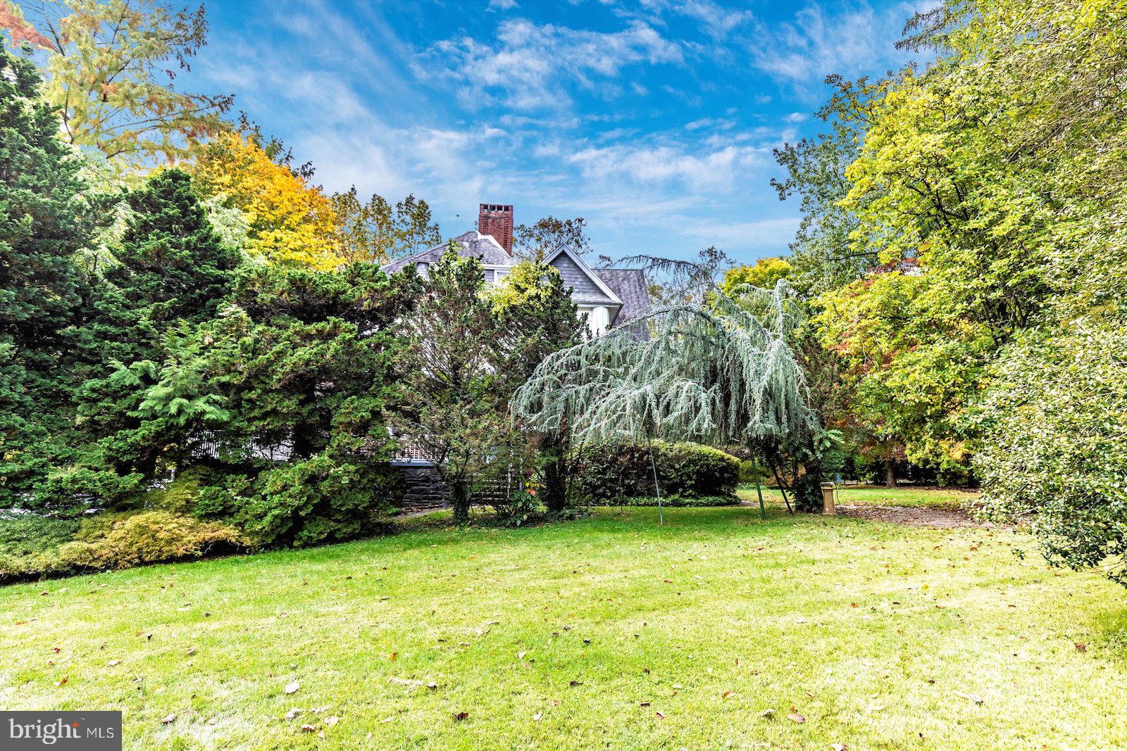6 East Brookhaven Road Wallingford, PA 19086 - Photo 59 of 70 Side Yard