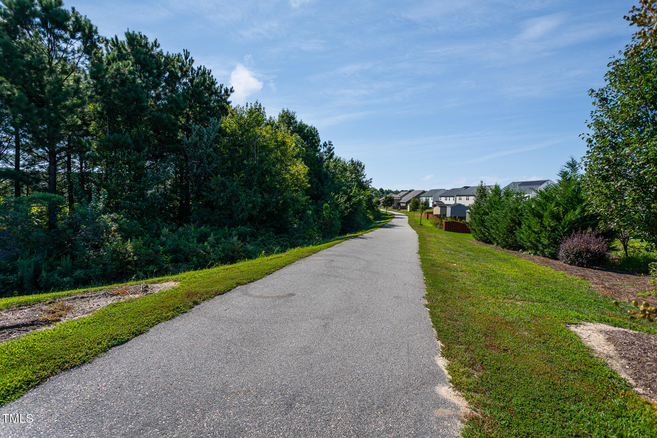 2411 Cattail Pond Drive Zebulon, NC 27597 - Photo 37 of 37 a view of a road with a yard and large trees