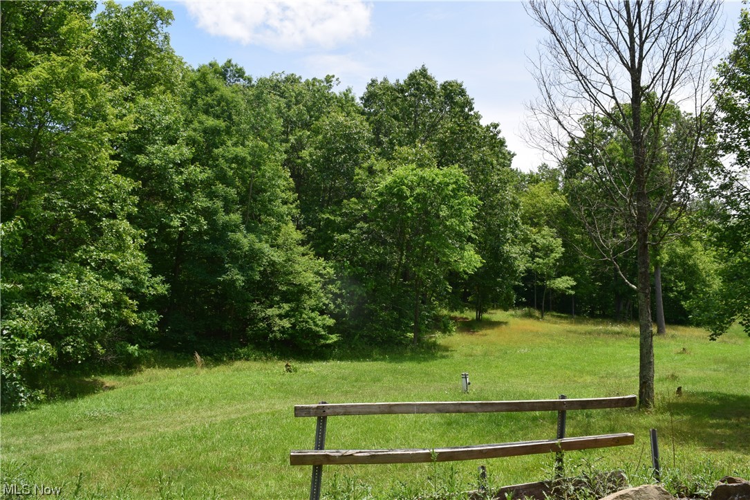 53346 Fry Road Pleasant City, OH 43772 - Photo 28 of 29 Land