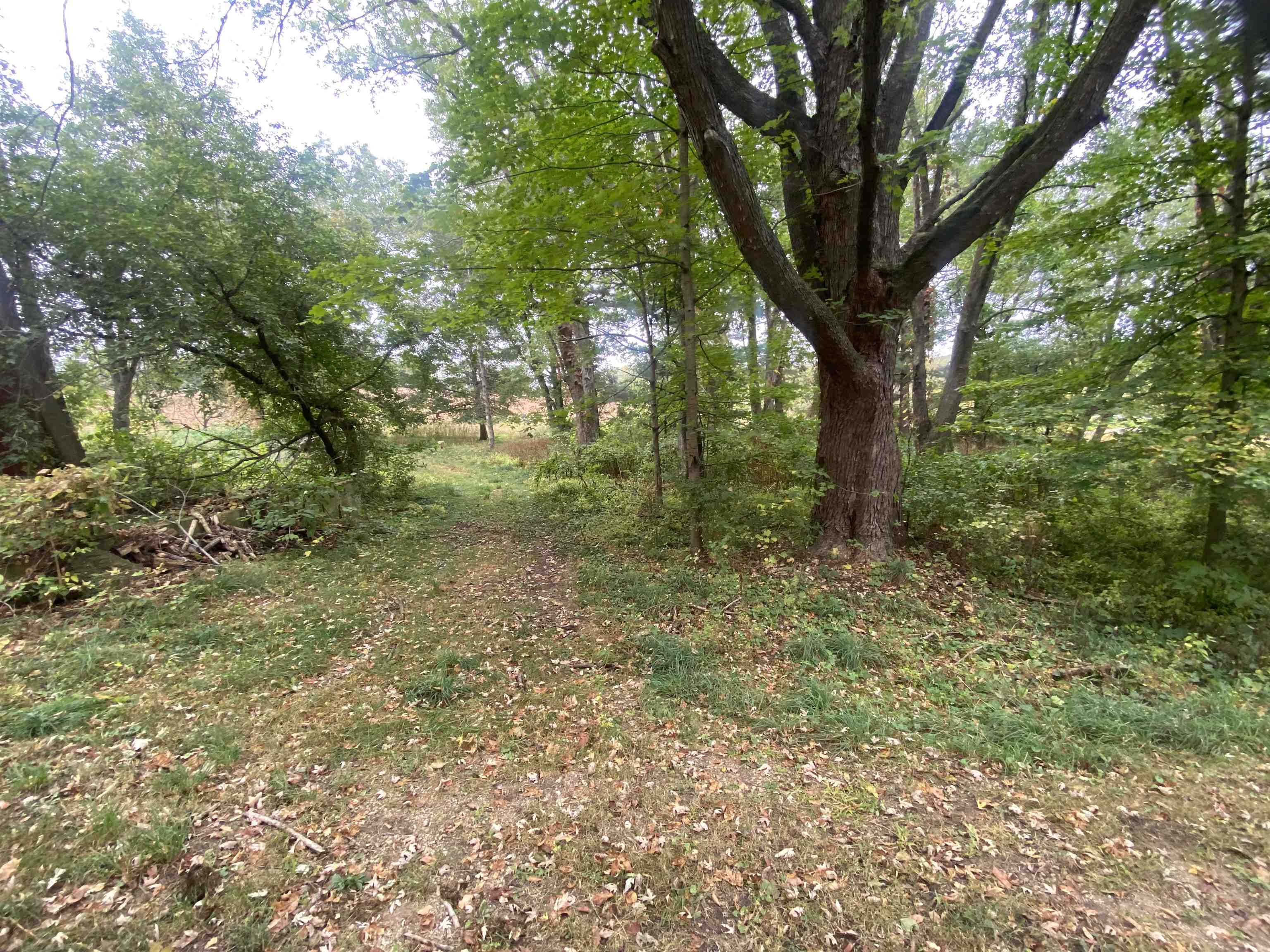 17653 Laube Road Davis, IL 61019 - Photo 9 of 9