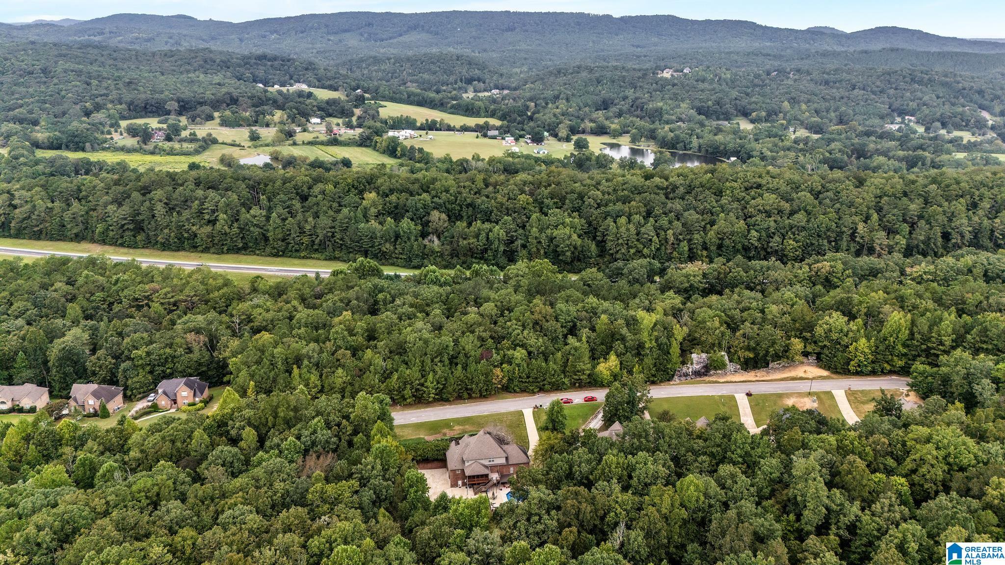 295 Fossil Rock Road Springville, AL 35146 - Photo 60 of 63 Gallery Image 60