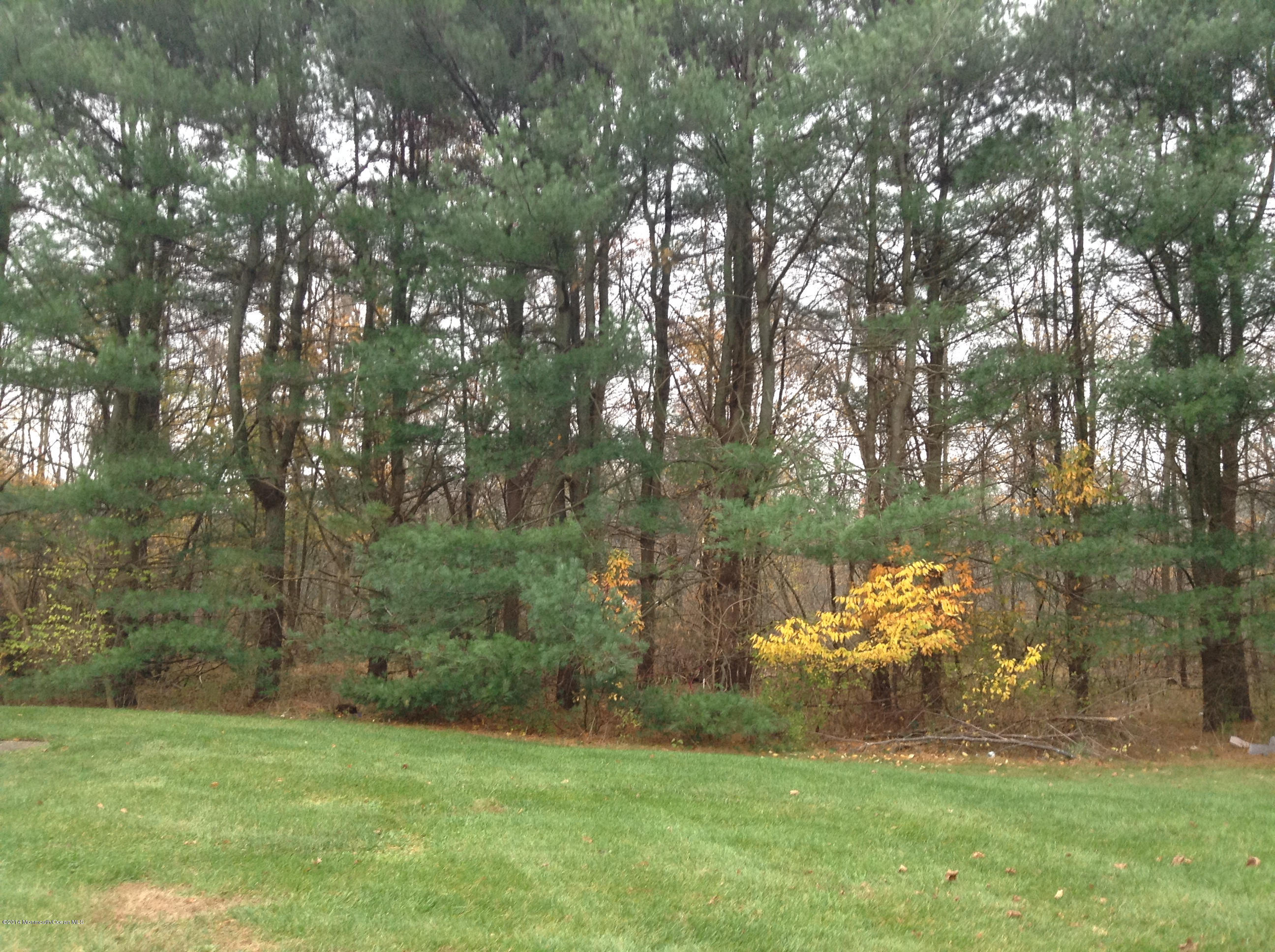 480 Rosalind Road Freehold, NJ 07728 - Photo 14 of 18 480 Rosalind 006