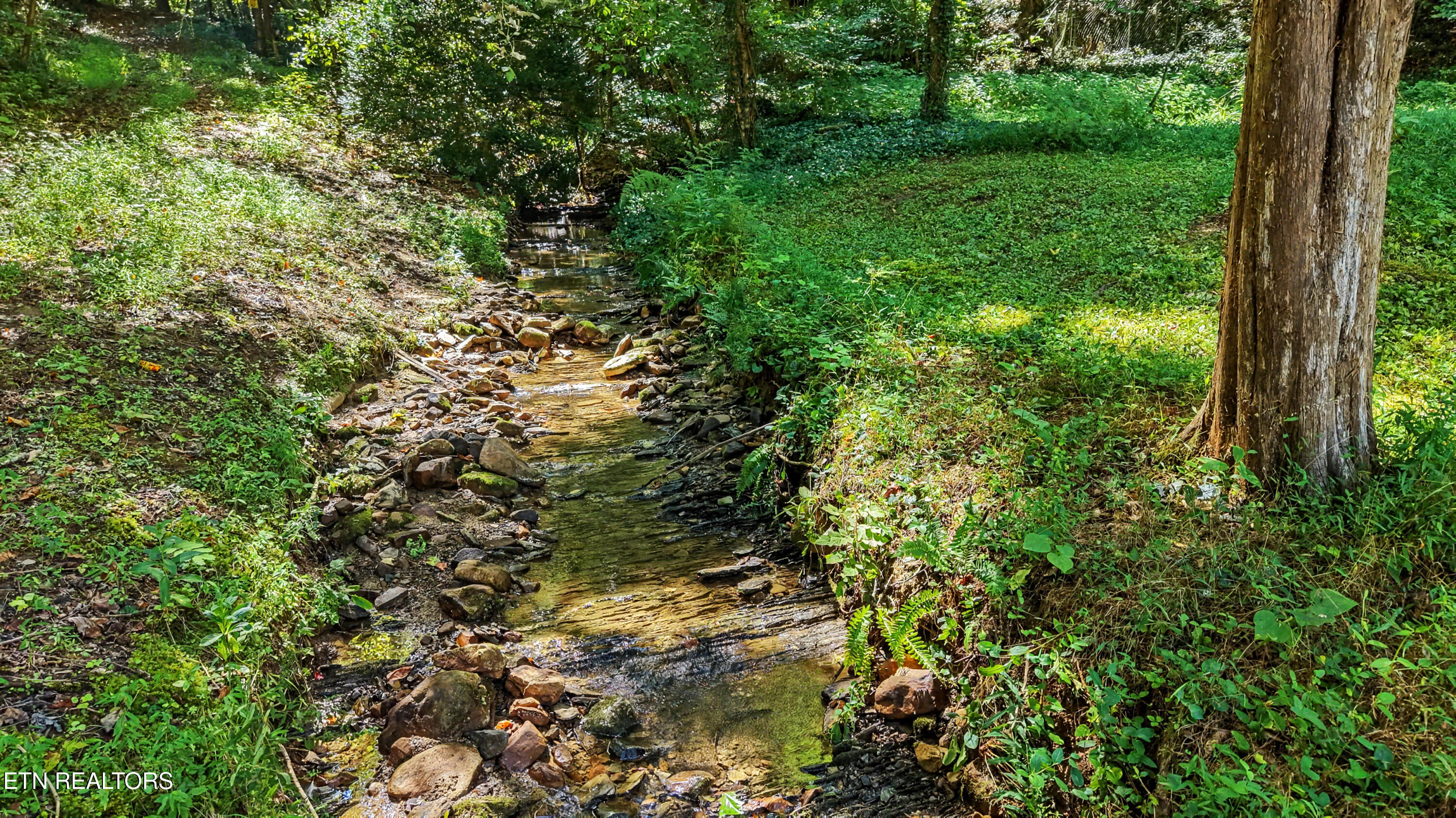 Tract 2-r-3 Cold Springs Road Walland, TN 37886 - Photo 3 of 17 DJI_20260824113208_0189_D-2