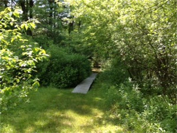 29 Peacock Farm Road Lexington, MA 02421 - Photo 11 of 12 a view of a garden