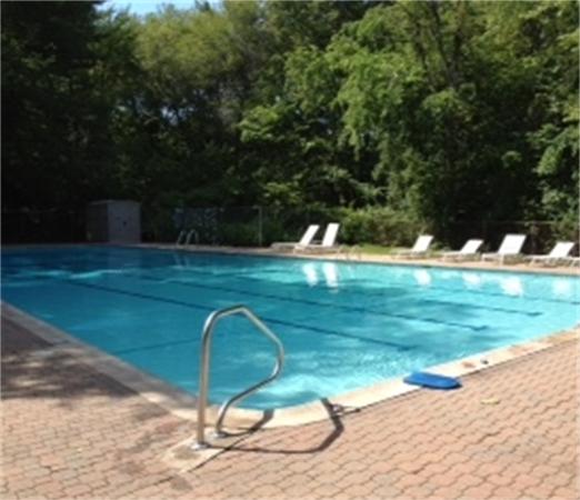 29 Peacock Farm Road Lexington, MA 02421 - Photo 12 of 12 a view of a swimming pool with a yard