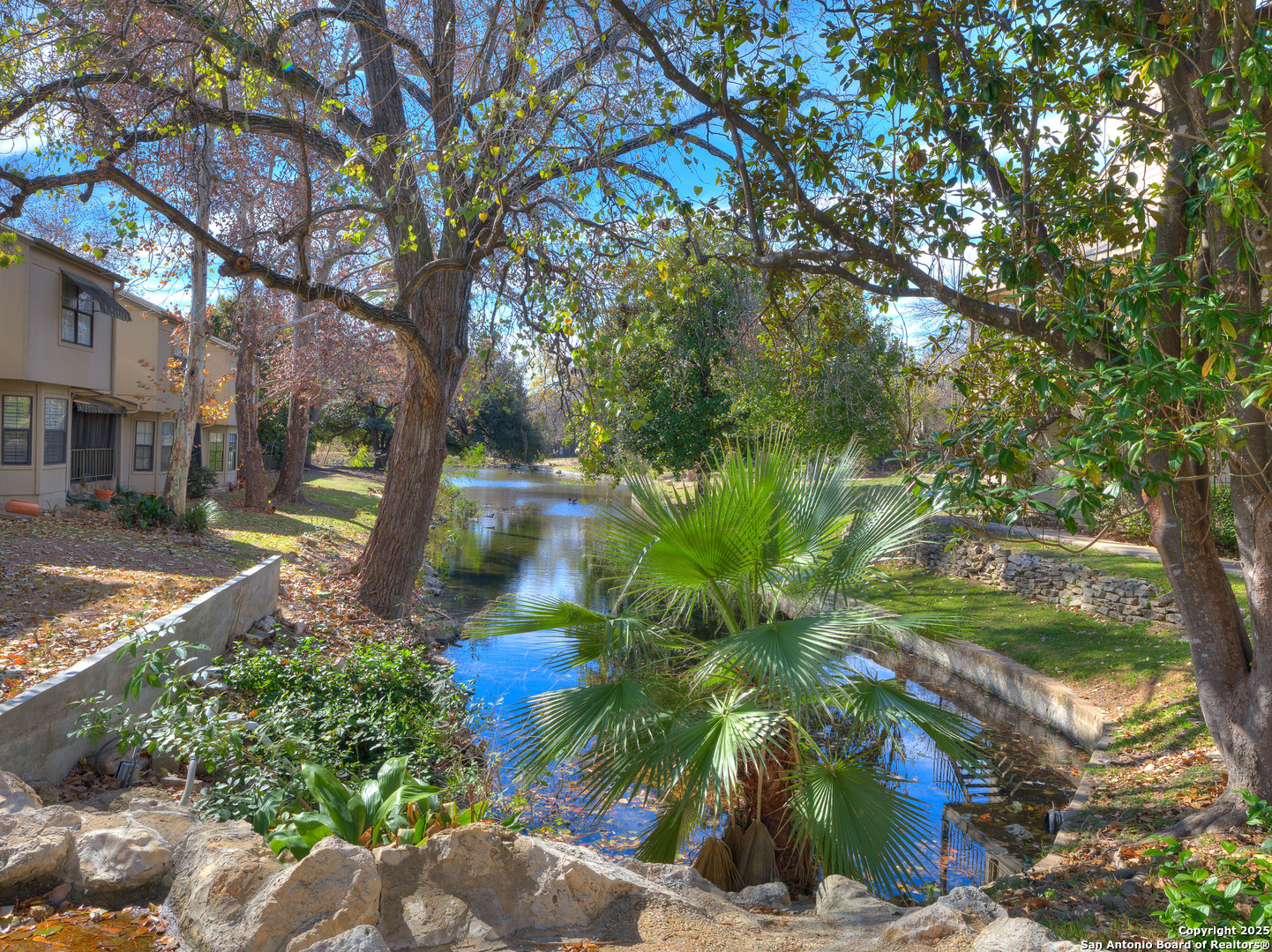 7711 Callaghan Road, Unit 702 San Antonio, TX 78229 - Photo 41 of 49 a view of yard with tree in front of it