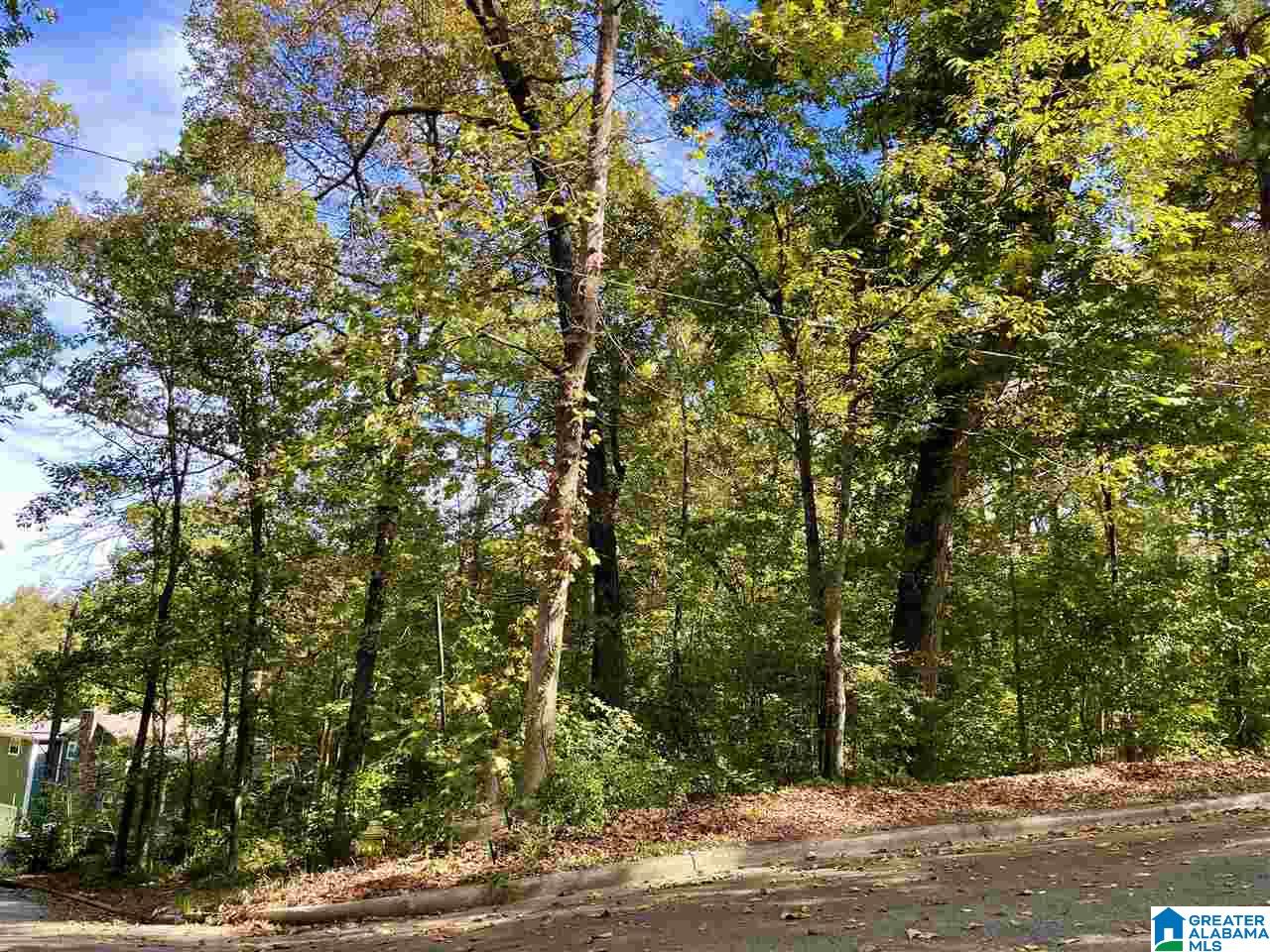 0 Shady Lane Cullman, AL 35055 - Photo 2 of 6