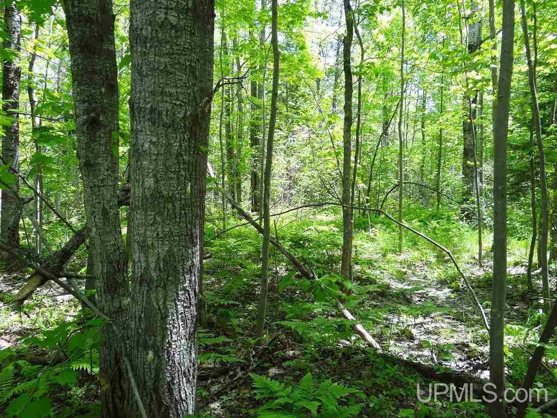 19854 Point Abbaye Road Lanse, MI 49946 - Photo 14 of 25 Gallery Image 14