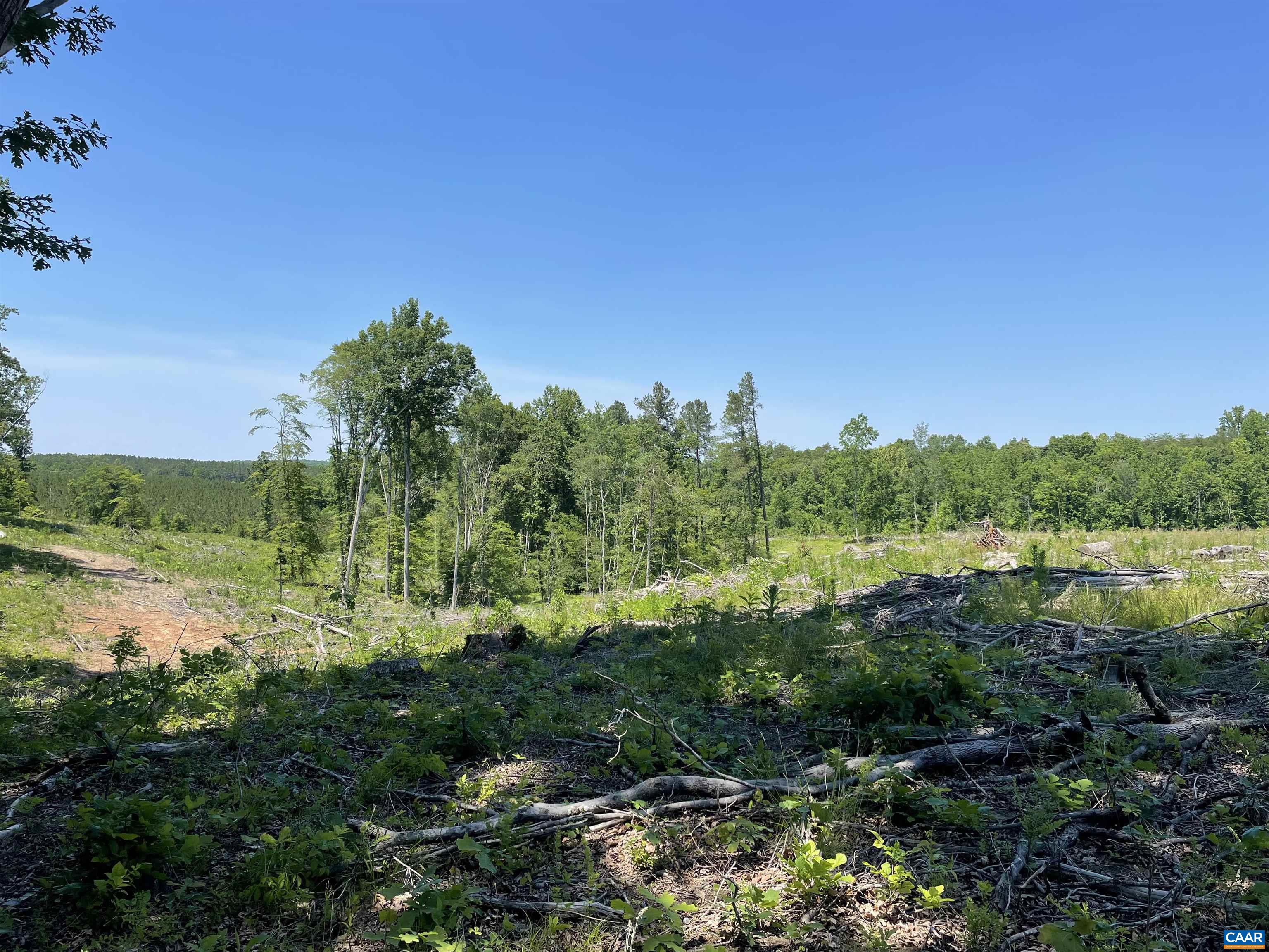737 Bryants Ford Road Fork Union, VA 23055 - Photo 4 of 11 Gallery Image 4