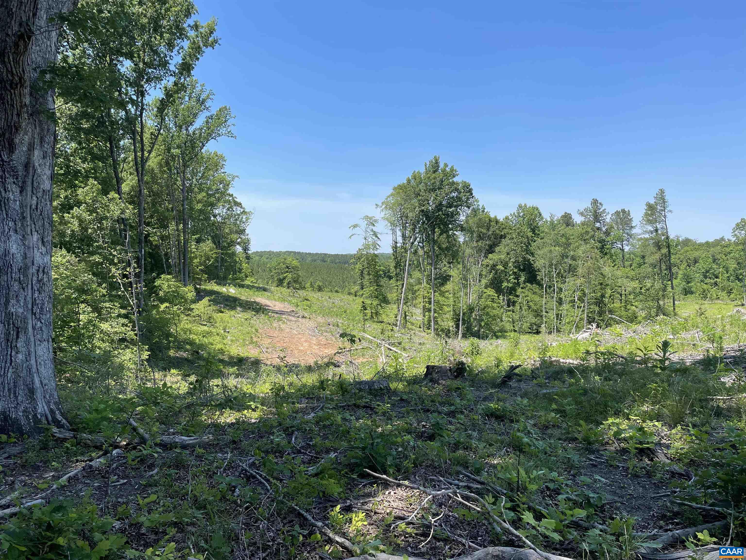 737 Bryants Ford Road Fork Union, VA 23055 - Photo 7 of 11 Gallery Image 7