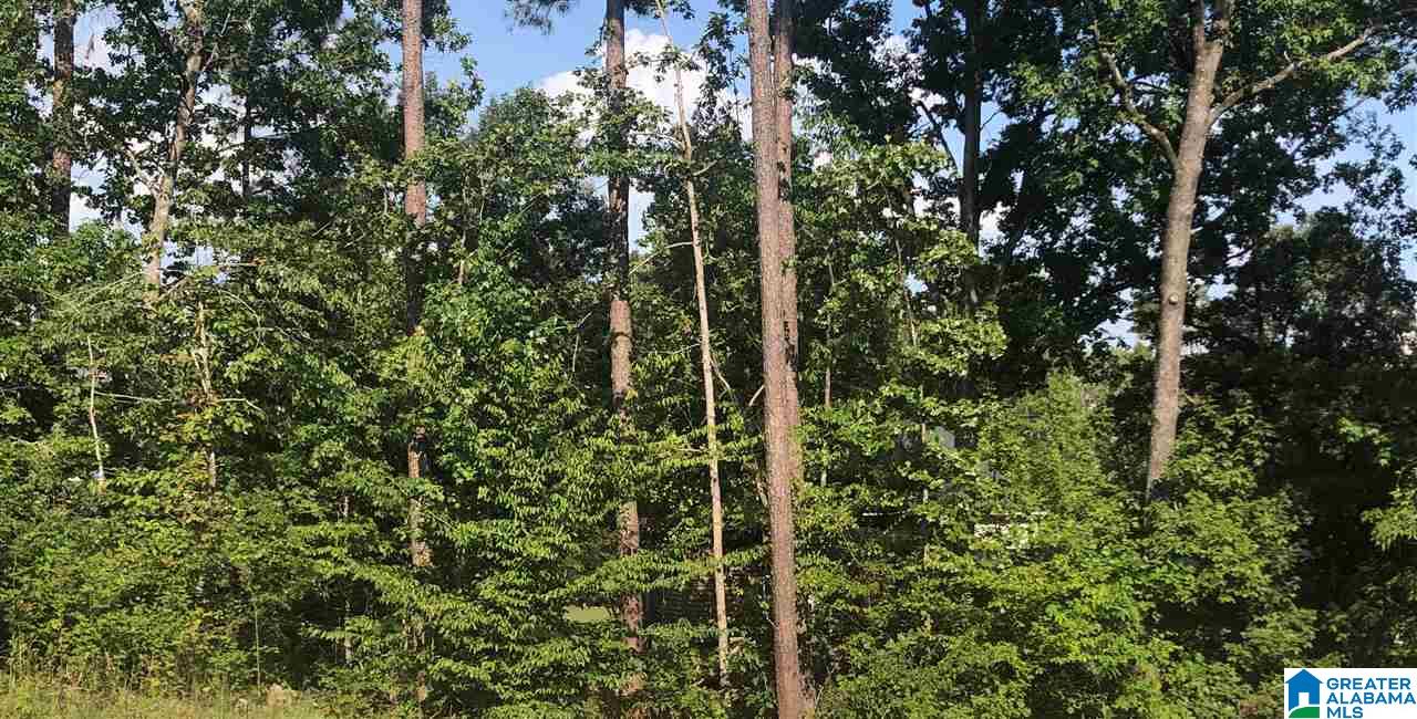 0 Deer Chase Road, Unit 3 McCalla, AL 35111 - Photo 1 of 1
