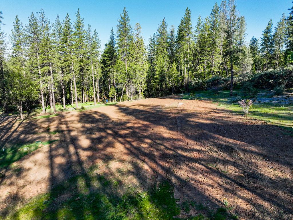 13279 Thoroughbred Loop Grass Valley, CA 95949 - Photo 10 of 33 a view of a yard with a trees