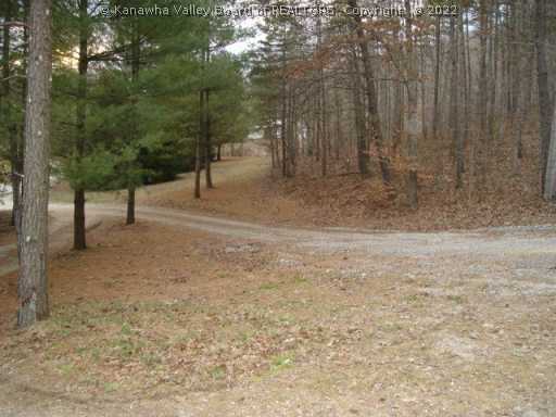 67 Pine Grove Road Sumerco, WV 25567 - Photo 6 of 8 Land.