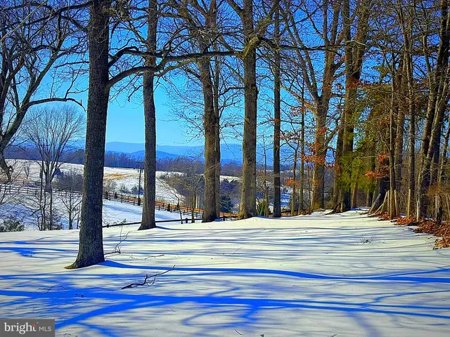 $2,700 | 7246 Sperryville Pike, Boston, VA 22713