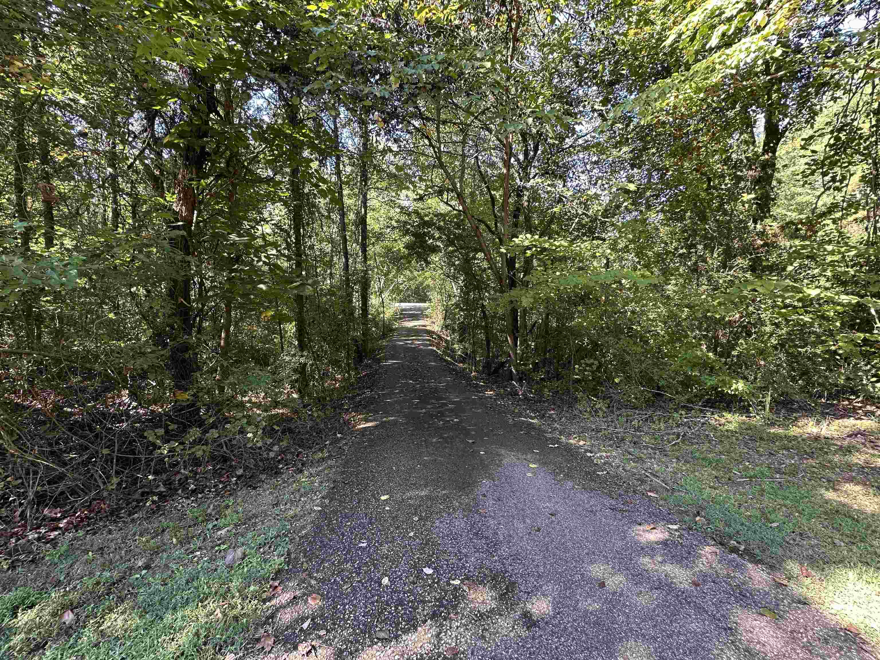 1895 Red Sulphur Road Counce, TN 38326 - Photo 5 of 30 Gallery Image 5