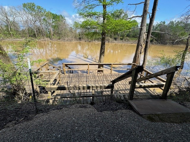 6207 Lake Mary Road Woodville, MS 39669 - Photo 50 of 71 Photo 38