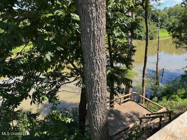 6207 Lake Mary Road Woodville, MS 39669 - Photo 70 of 71 IMG_7399