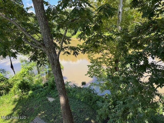 6207 Lake Mary Road Woodville, MS 39669 - Photo 71 of 71 IMG_7398