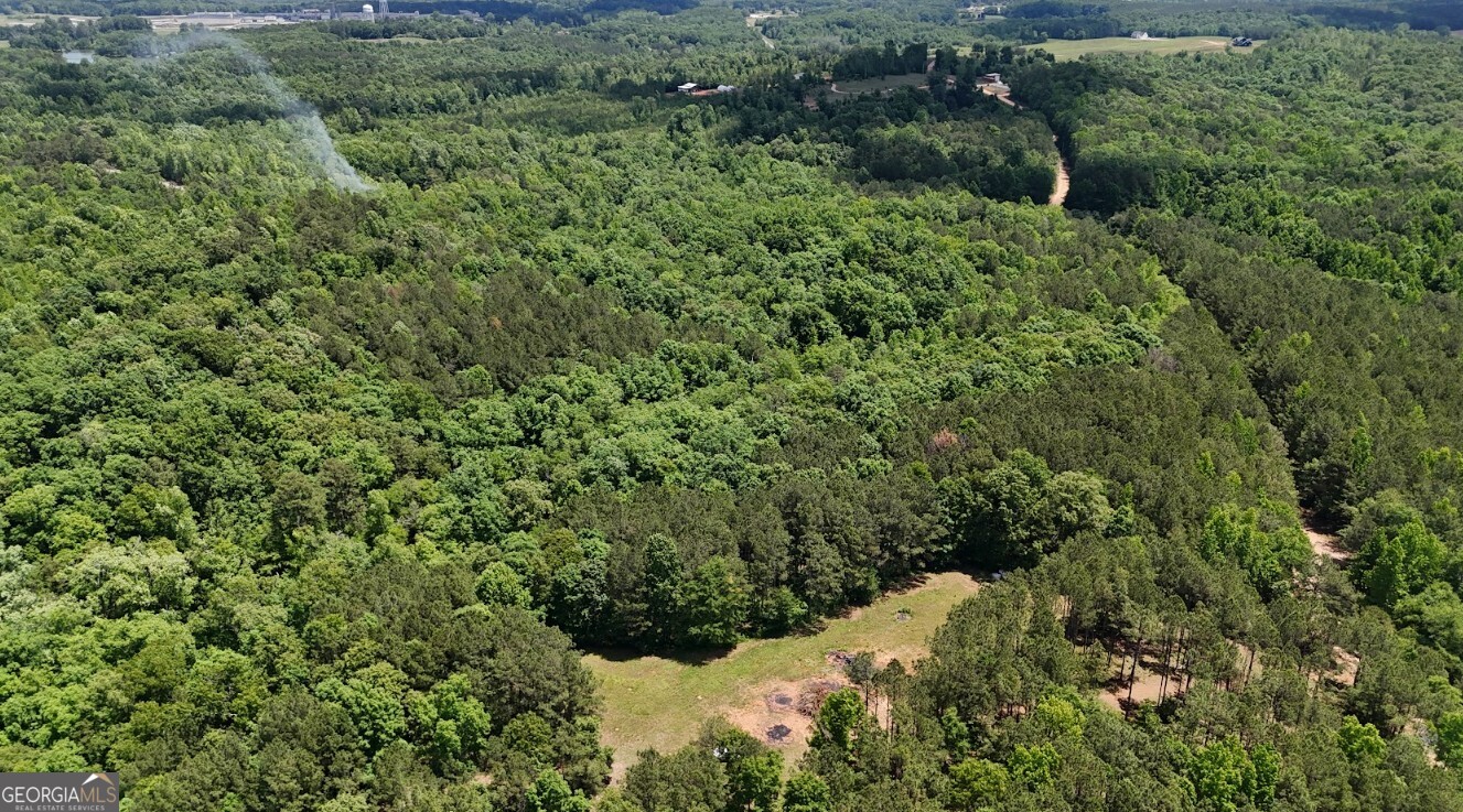 0 Creek Road, Unit LOT 8 Ashland, AL 36251 - Photo 3 of 25