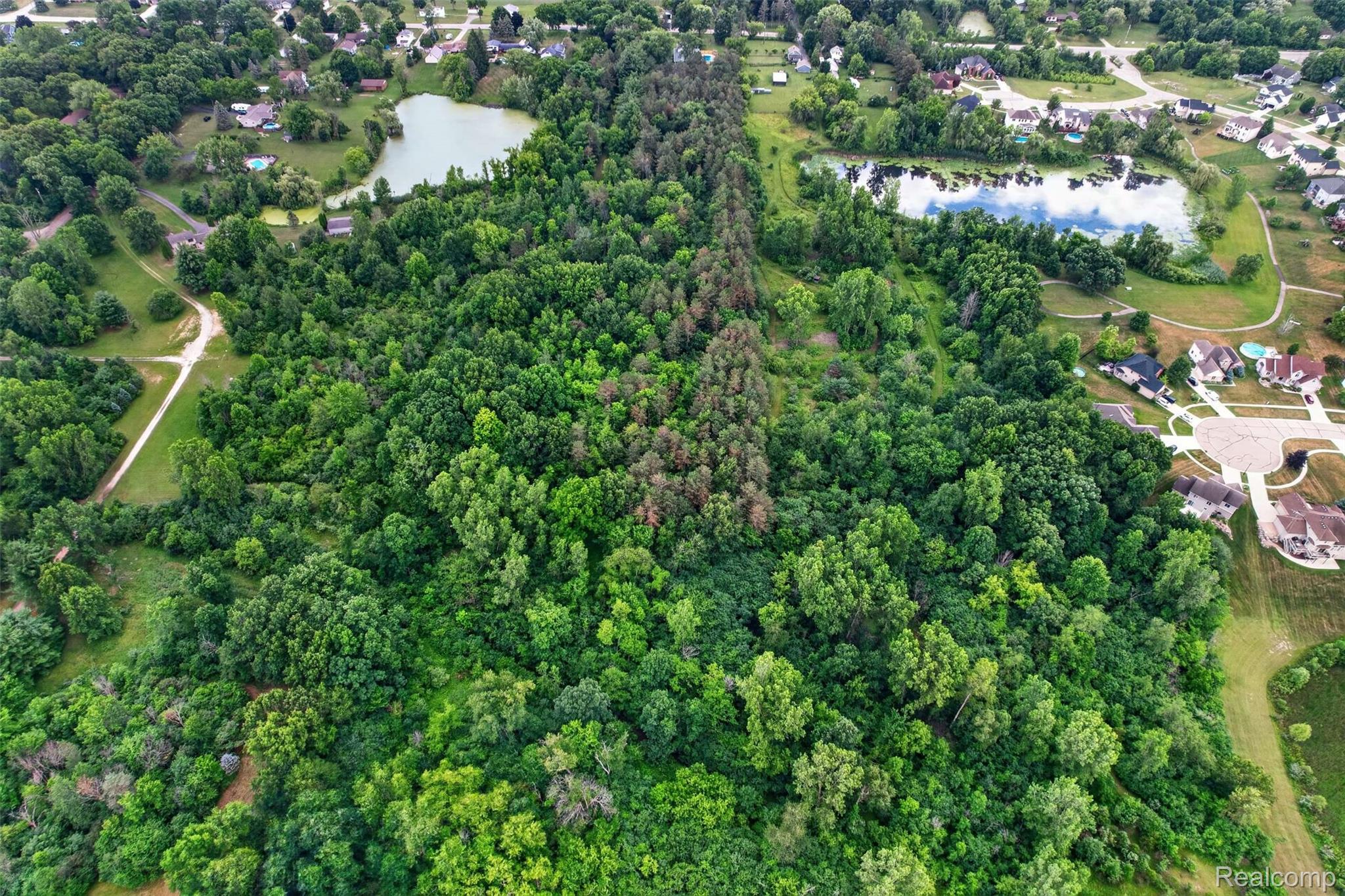 1437 East Cook Road Grand Blanc, MI 48439 - Photo 26 of 69 Expansive wooded acreage featuring diverse tree coverage, bordered by residential development and natural water features