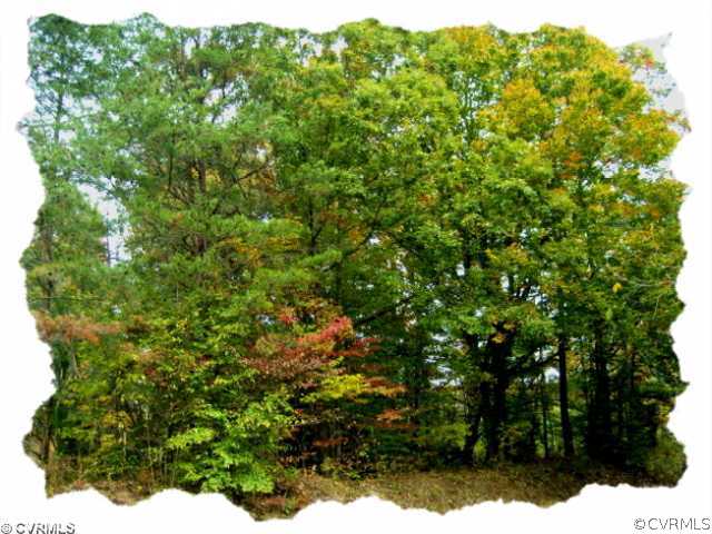 10.687-acres East Sayler's Creek Road Rice, VA 23966 - Photo 1 of 6 View - Please Click Virtual Tour Link Above for De