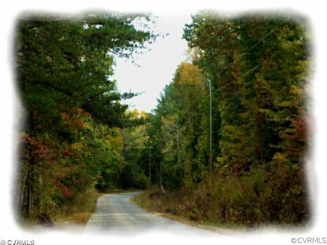 10.687-acres East Sayler's Creek Road Rice, VA 23966 - Photo 2 of 6 Land/Lot - Please Click Virtual Tour Link Above fo