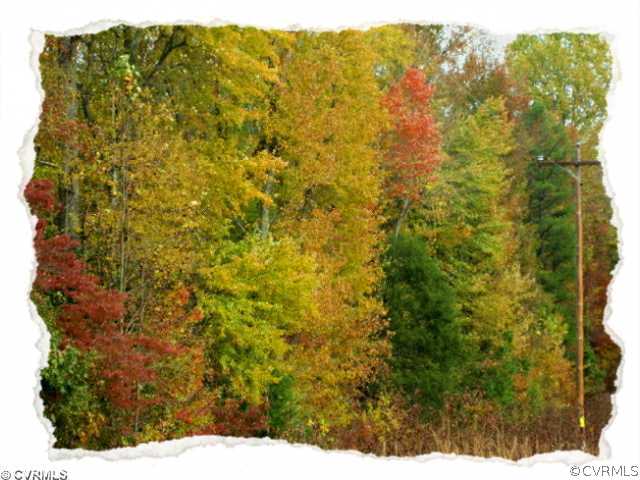 10.687-acres East Sayler's Creek Road Rice, VA 23966 - Photo 3 of 6 View - Please Click Virtual Tour Link Above for De