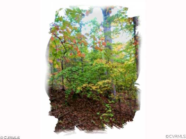 10.687-acres East Sayler's Creek Road Rice, VA 23966 - Photo 5 of 6 View - Please Click Virtual Tour Link Above for De